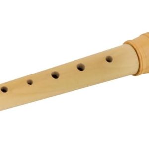 Recorder - childrens musical instrument